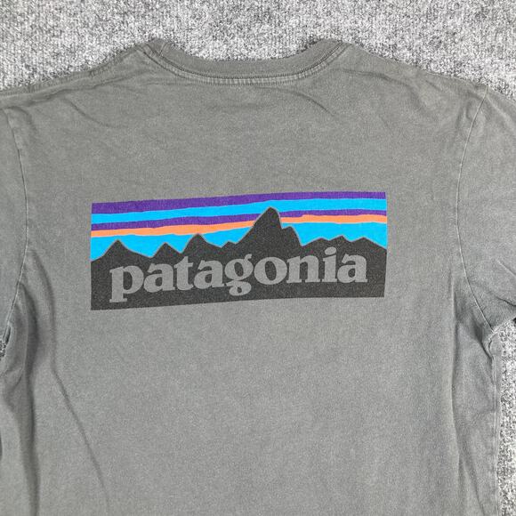 Patagonia Other - Patagonia T Shirt Mens M Gray Logo Graphic Back Regular Fit USA
